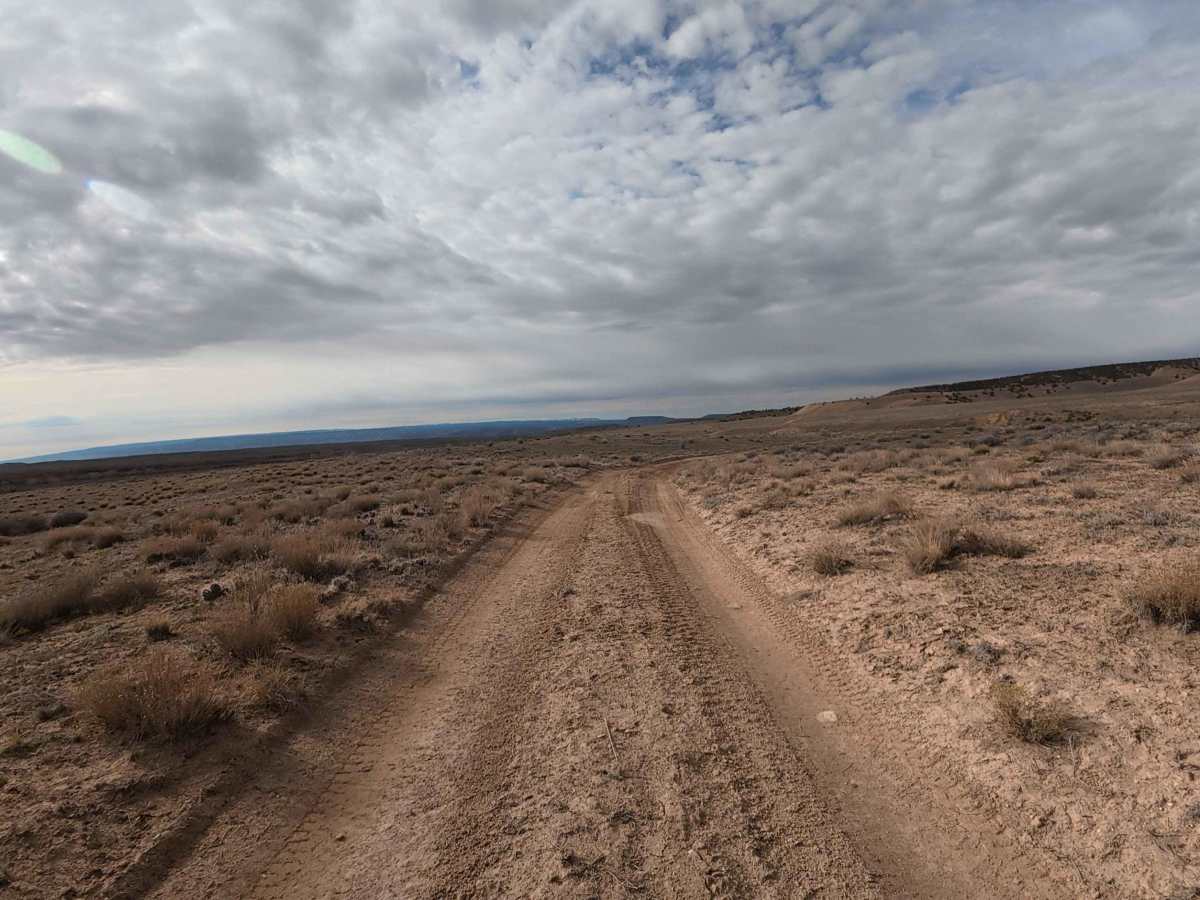 BLM 131 photo 2