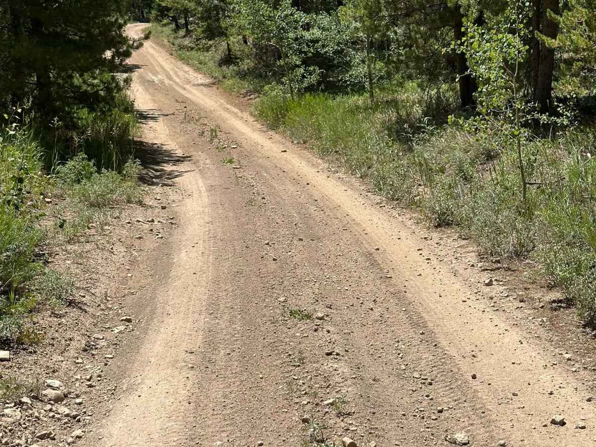 BLM 2762 photo 4