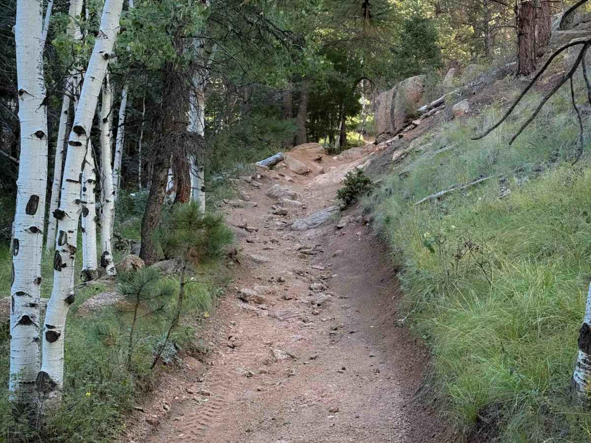 Broken Swing Arm Trail - FS 717F  photo 4