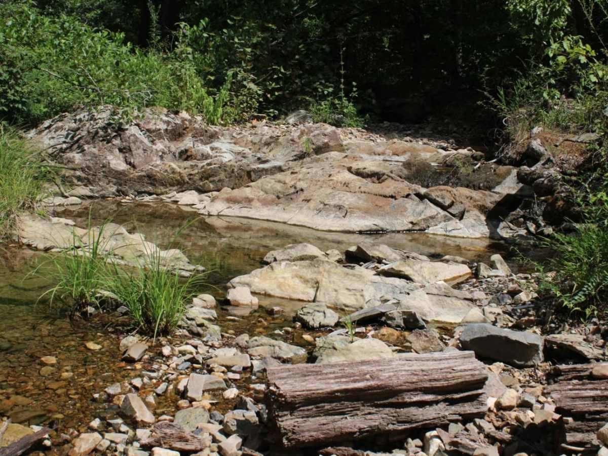 Round to Henson School Road trail photo