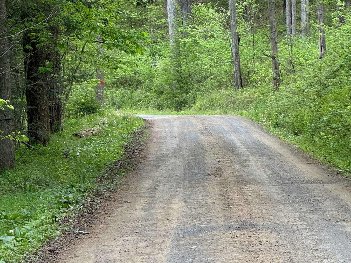 Shepard Road photo 3