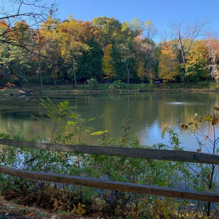 The view across the reservoir in Wishnie Park Near Richard Wishnie Park Walking Path