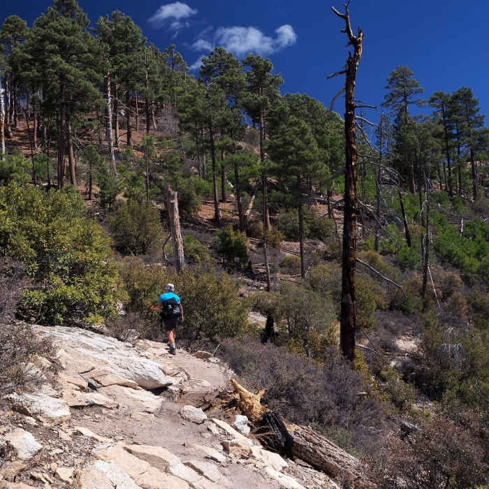 Near Marshall Gulch To Aspen Loop