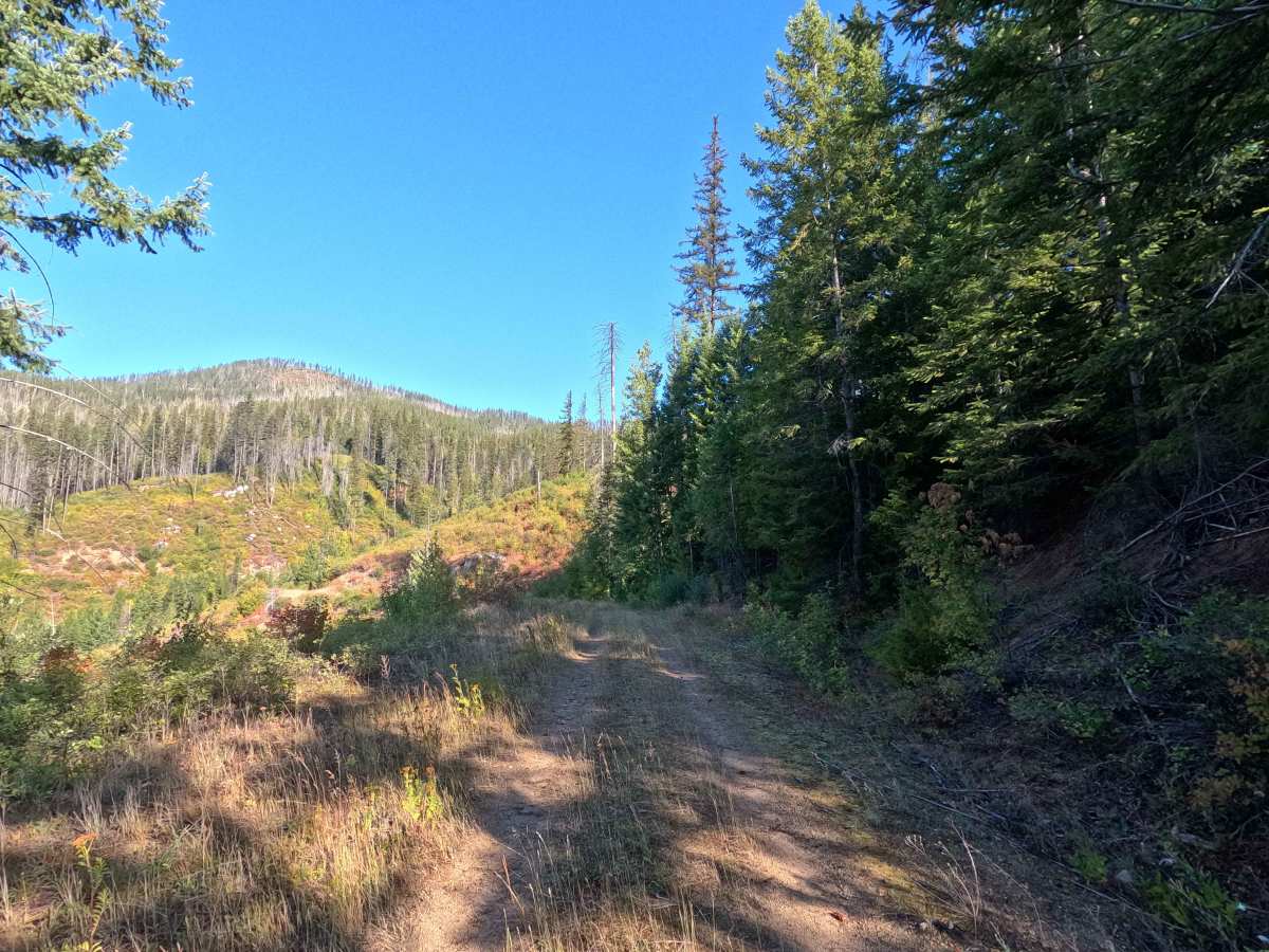 Klahowya Creek J - FS 1075J photo 4