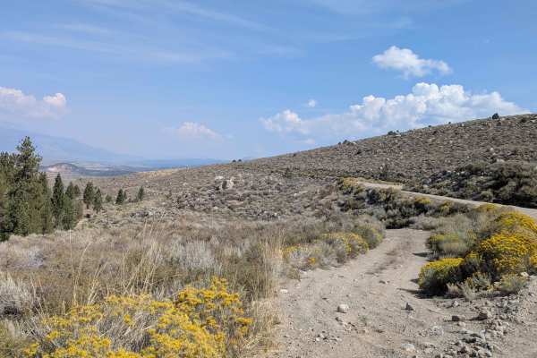Old Green Creek Road