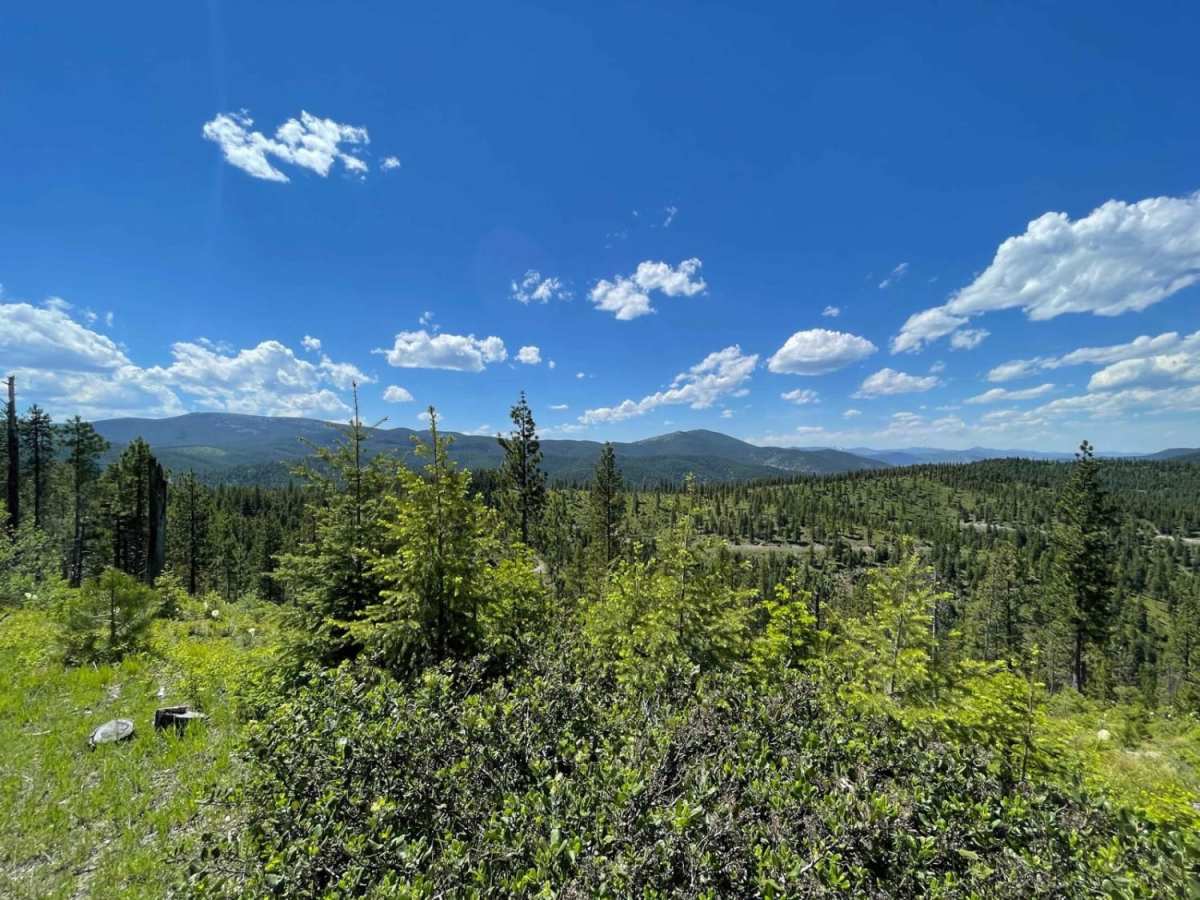 Lolo Springs Lookout photo 6