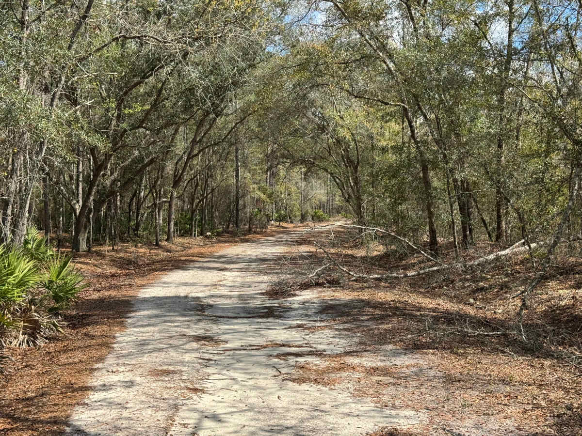Ole Hell Road photo 3
