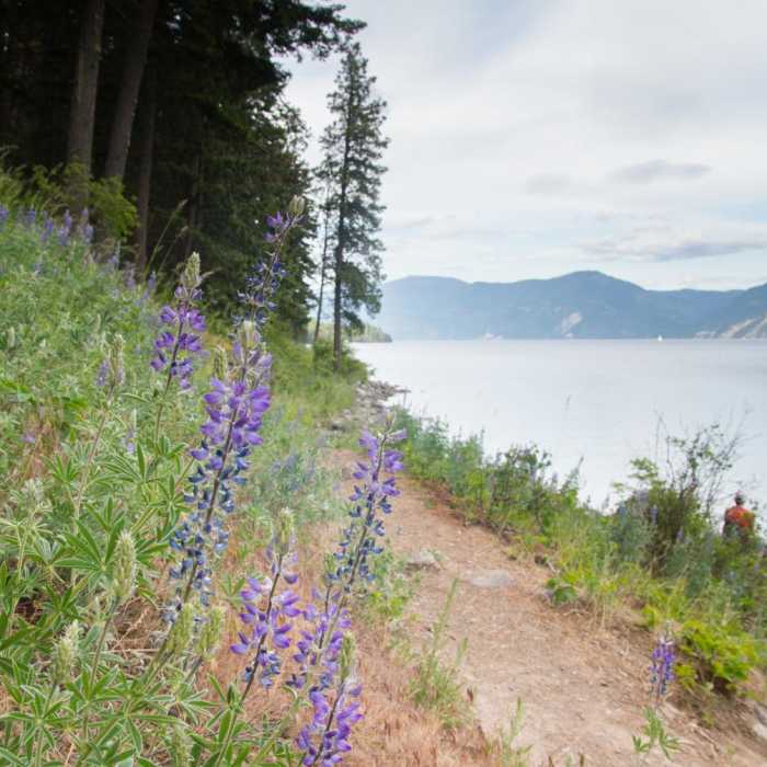 Near Beaver Bay Shoreline Trail