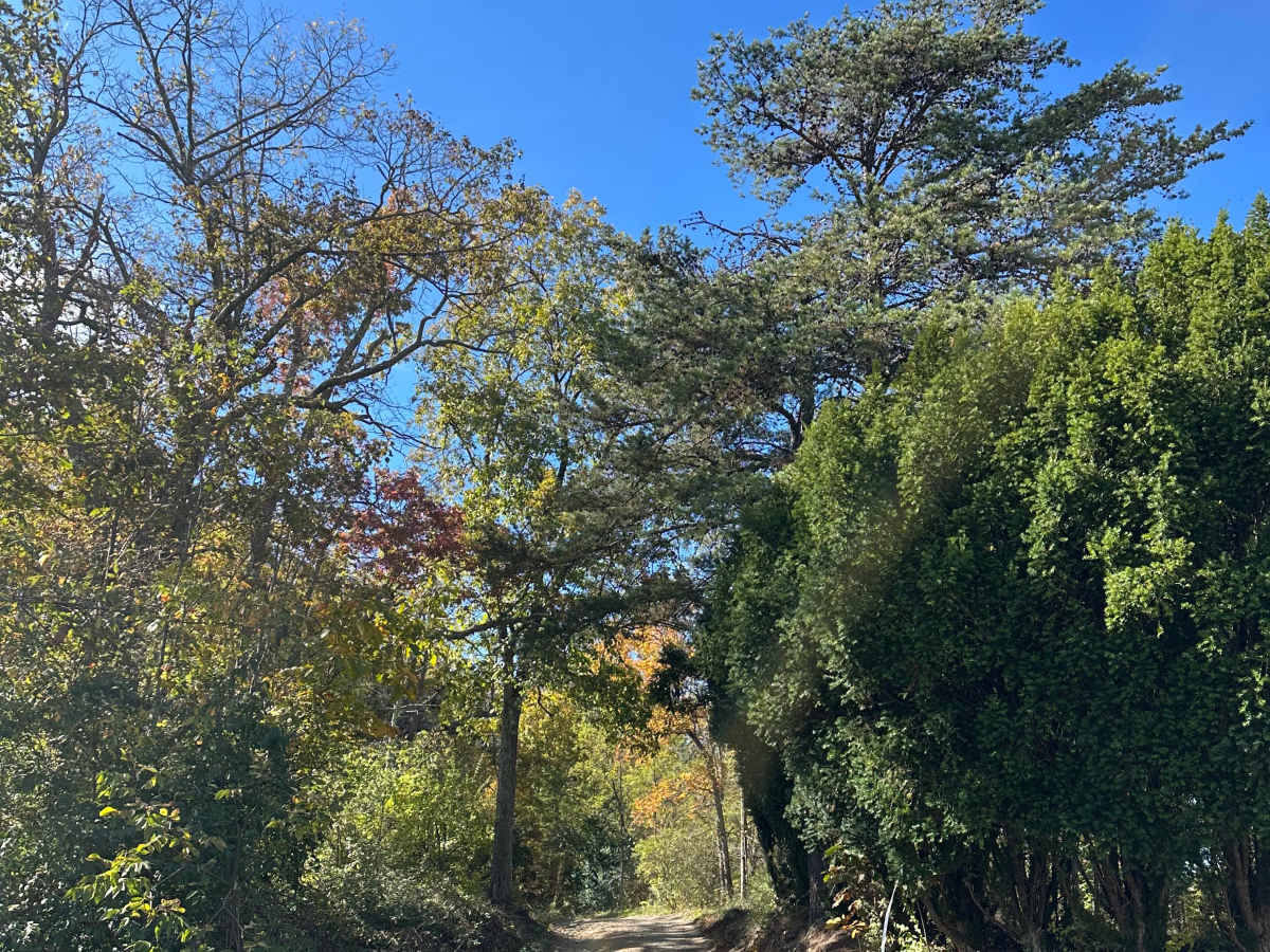 Tower Road  photo 3