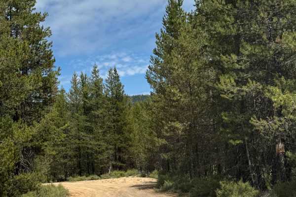 Little Walker Mountain - FS 9753