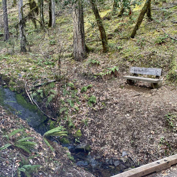 Near Waters Creek Loop Trail