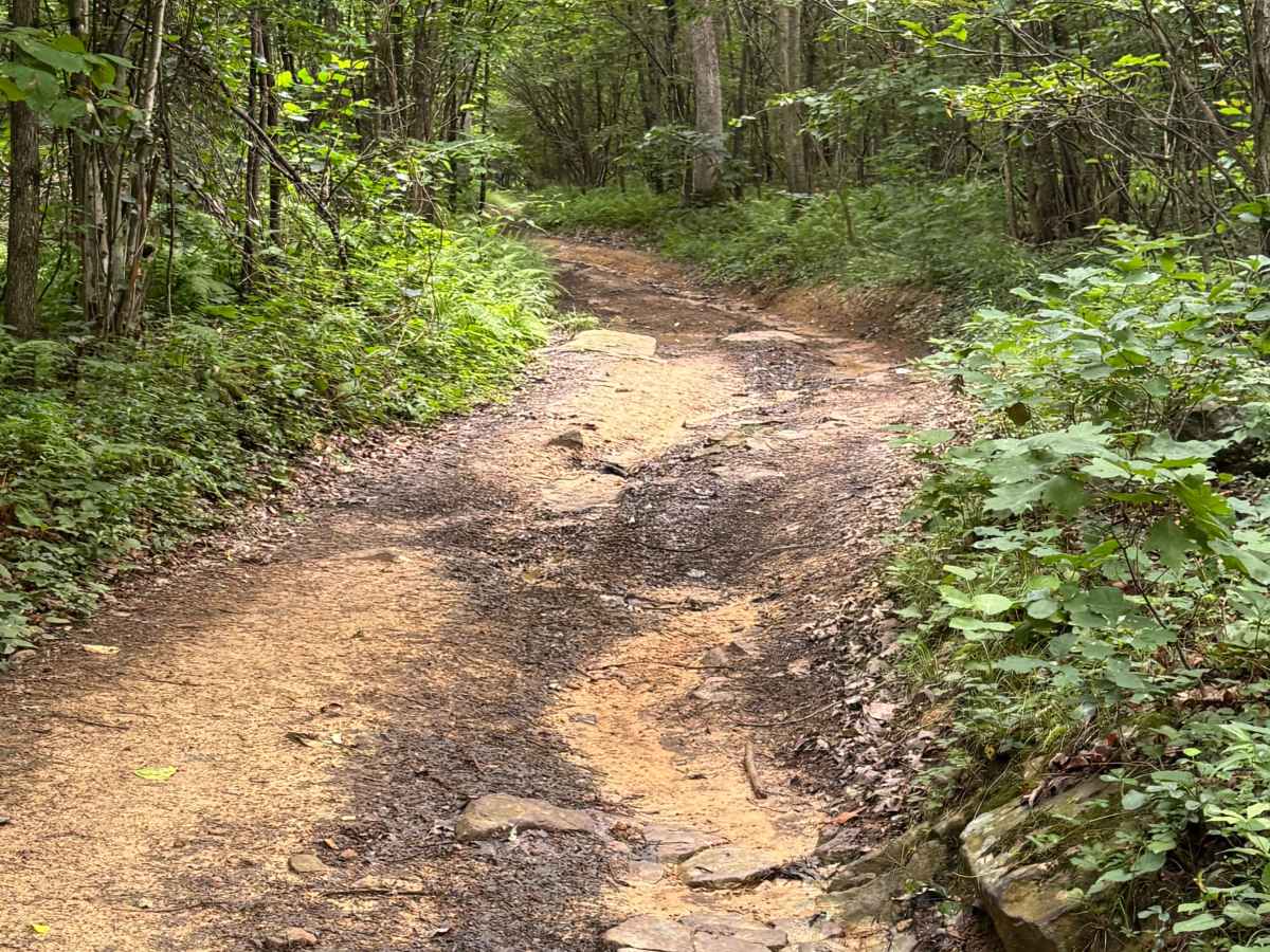 Trail 18  photo 4