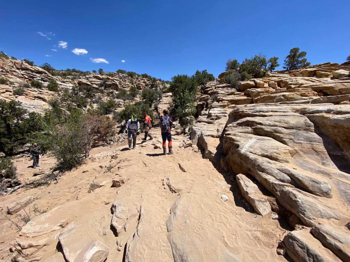 5 Miles of Hell photo 3