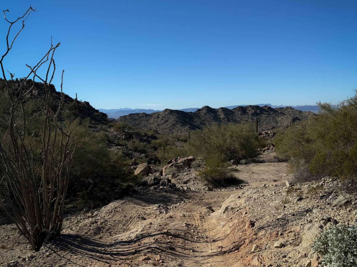 Hs64l trail photo
