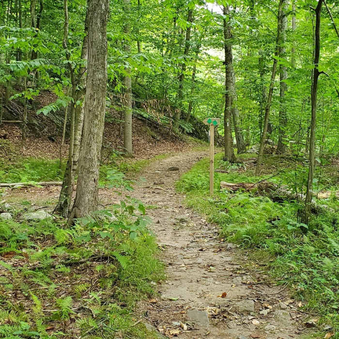 2 Trails Diverge Near Teatown-Kitchawan Trail (TKT)
