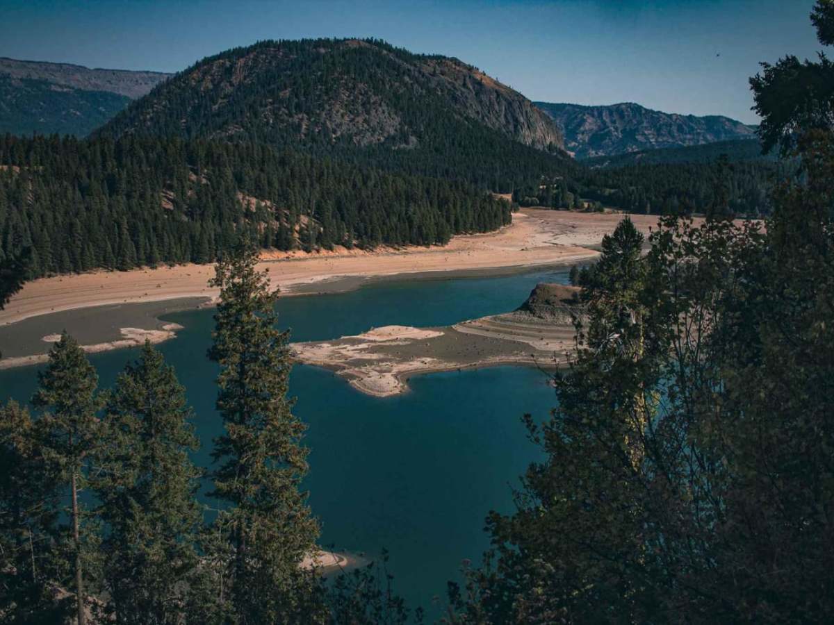 Pine Tree trail photo