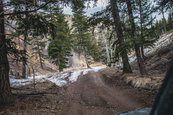 Black Pine Canyon