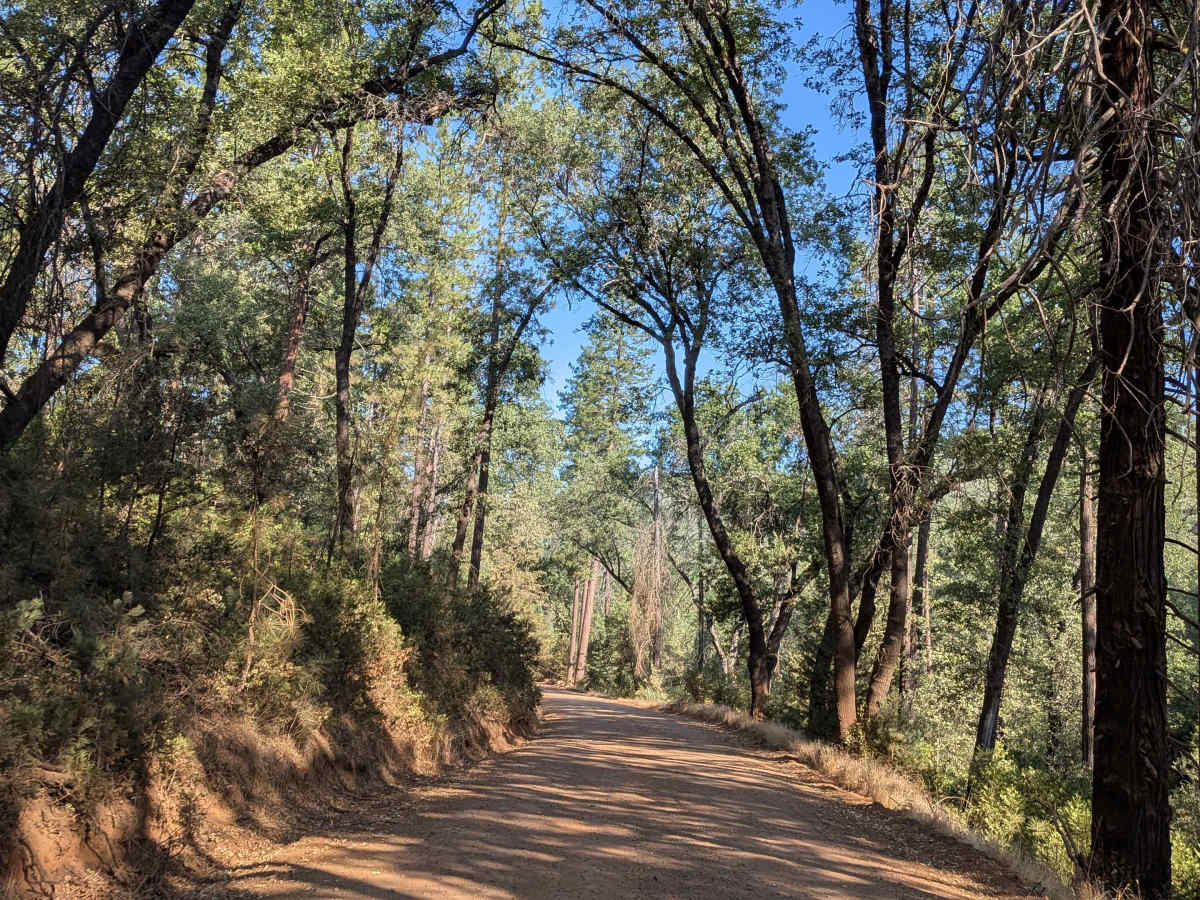Bull Creek Road North photo 3