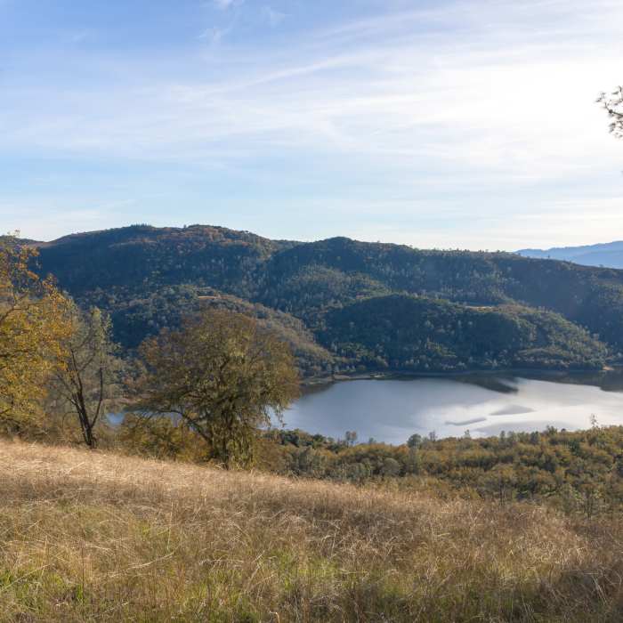 Near Conn Peak Spur Trail