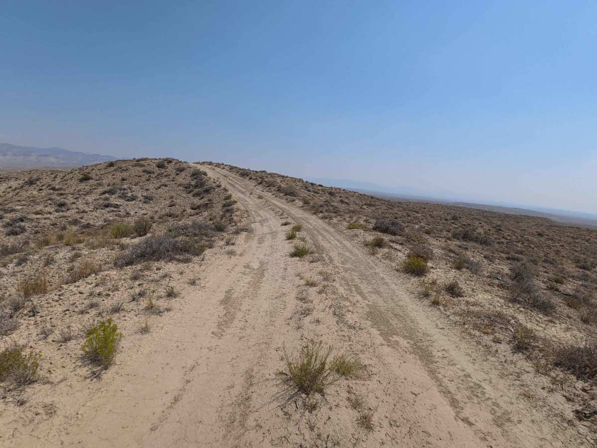 BLM 116 photo 2