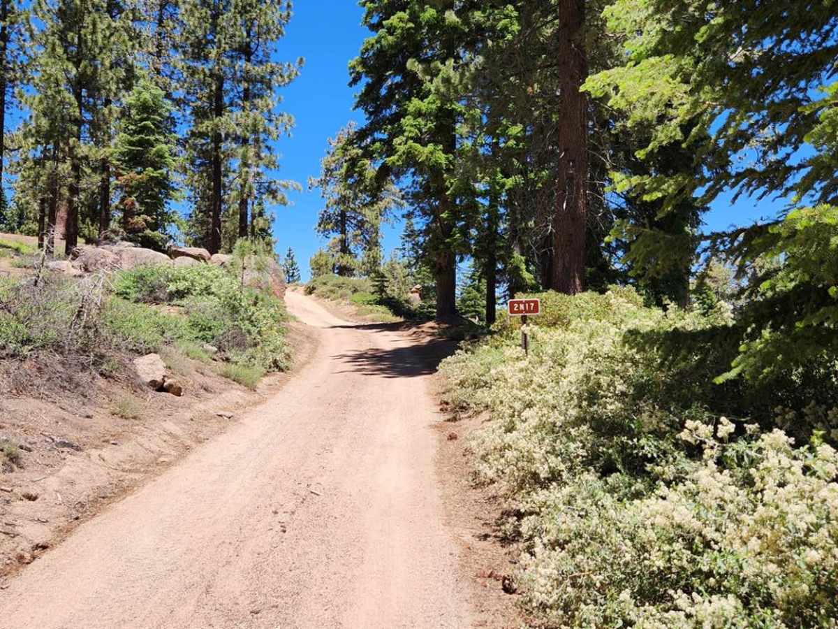 Camp Osito - FS 2N17 trail photo