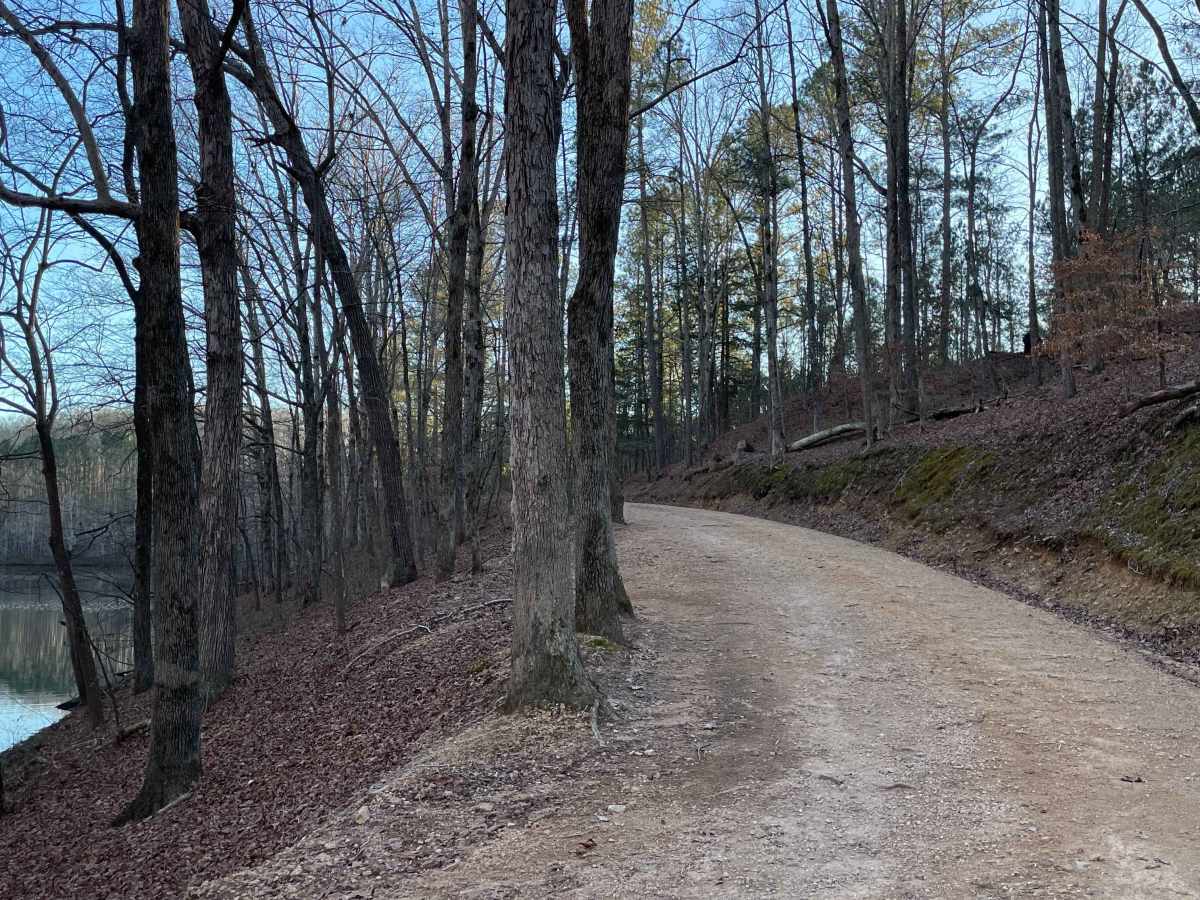 VFW Road photo 4