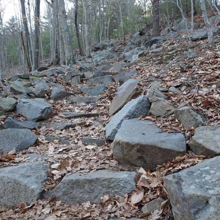 Near Cliff Trail