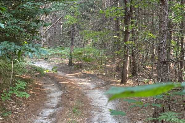 3 Powerline Trail