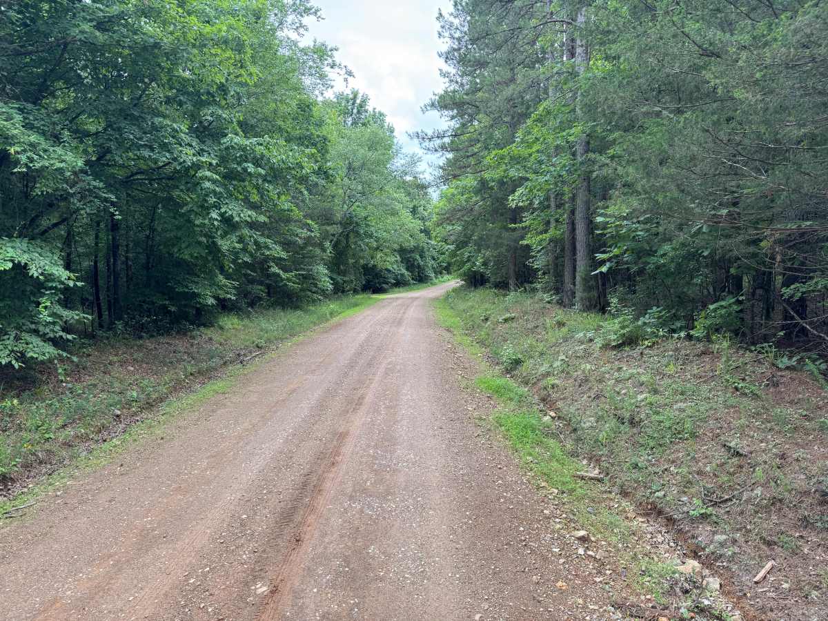 High Shoals Road trail photo