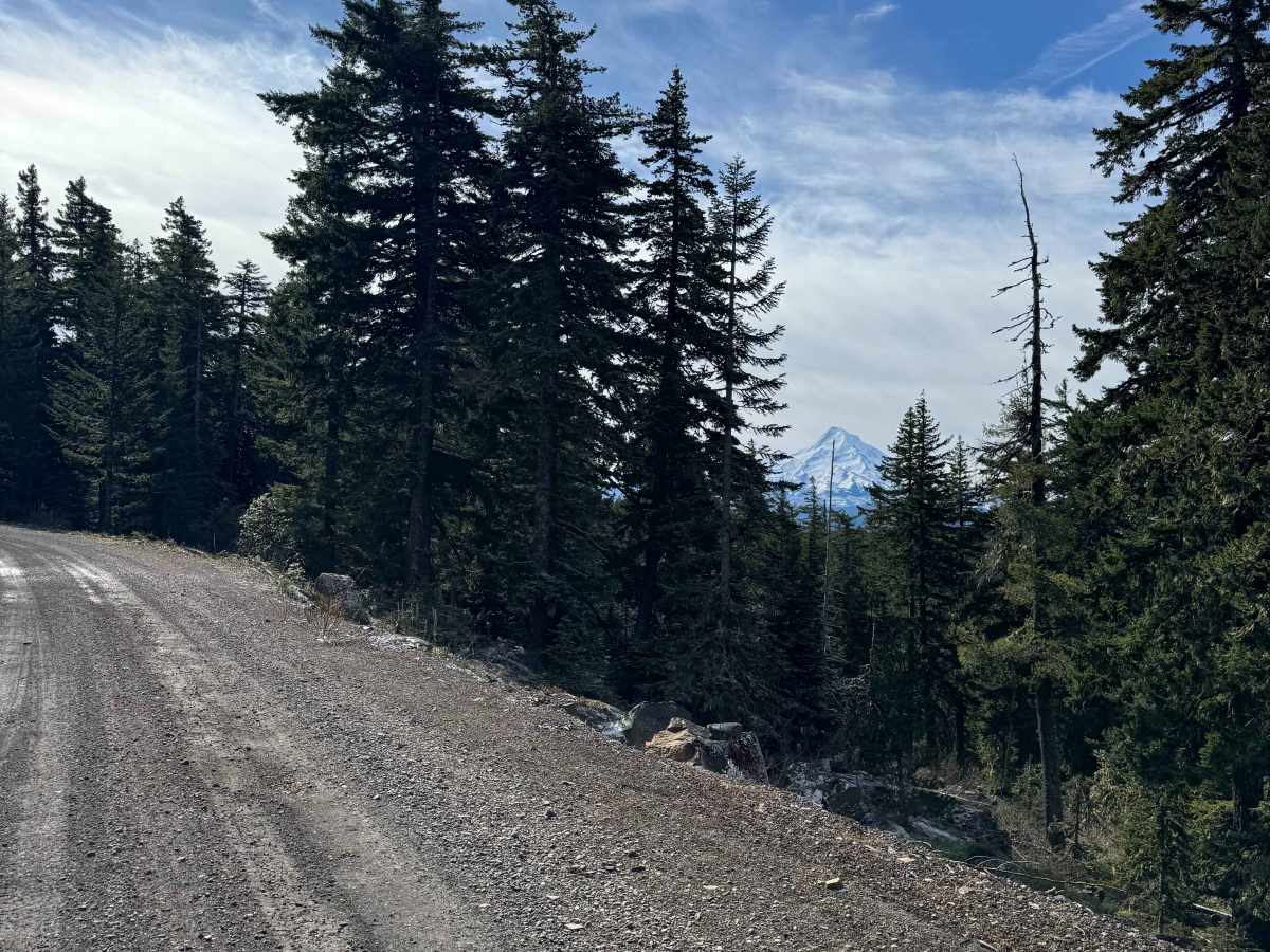 Dead Point - FS 2820 trail photo