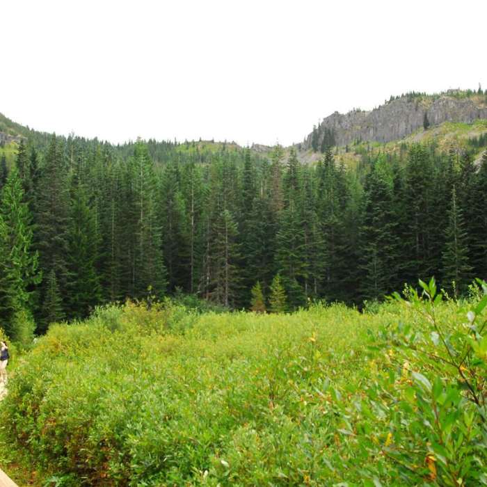 Near Mirror Lake + Tom Dick and Harry Mountain