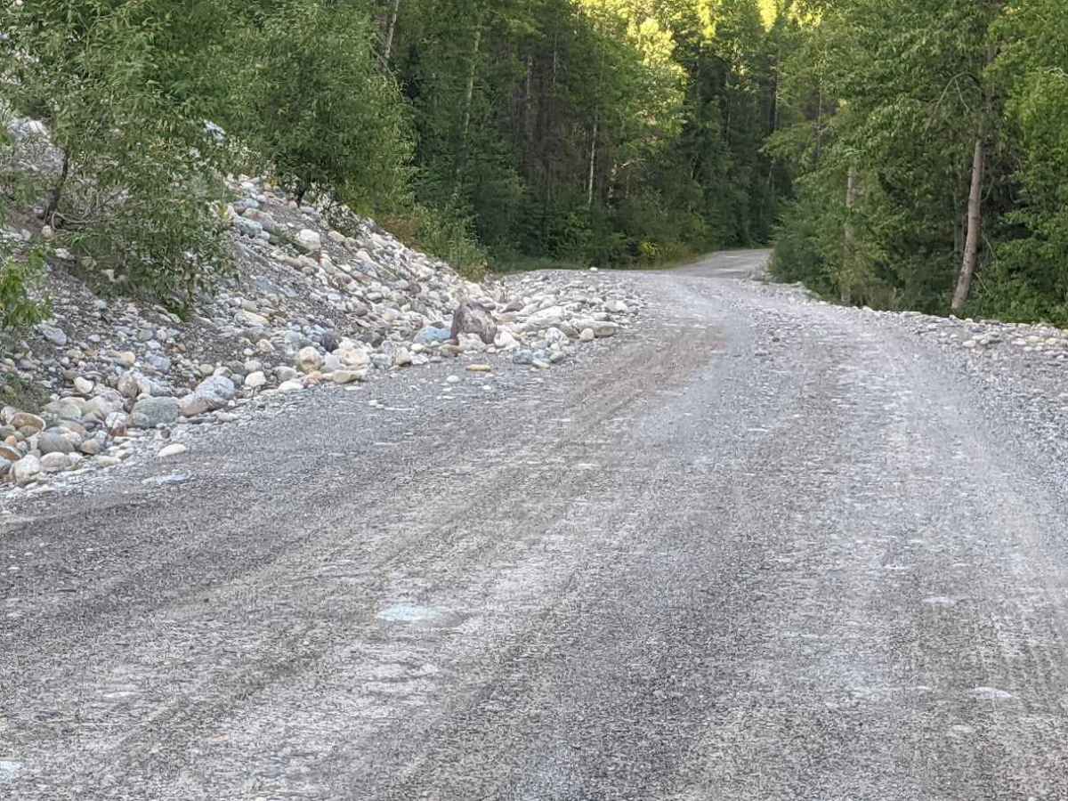 River Service Road  photo 3