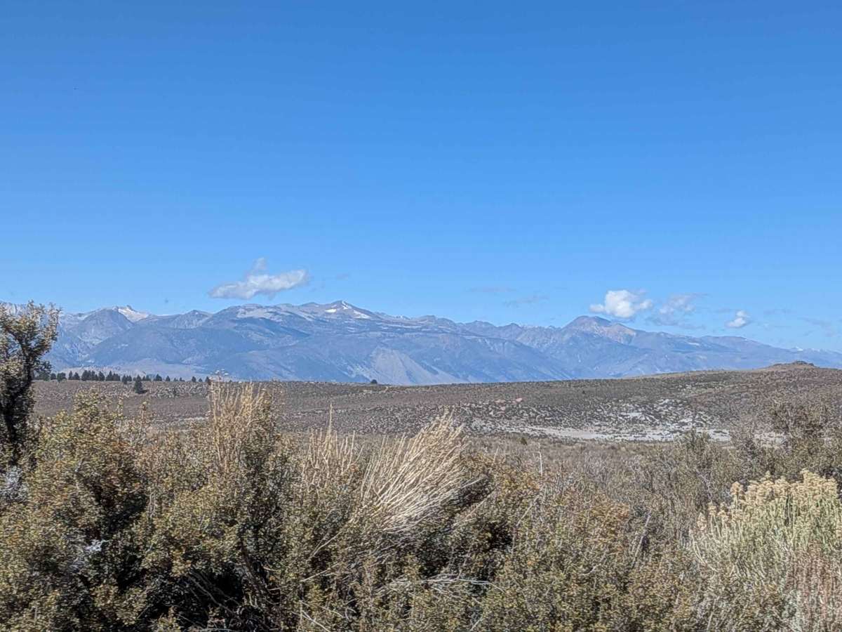 Sage Hen Meadows Road photo 5