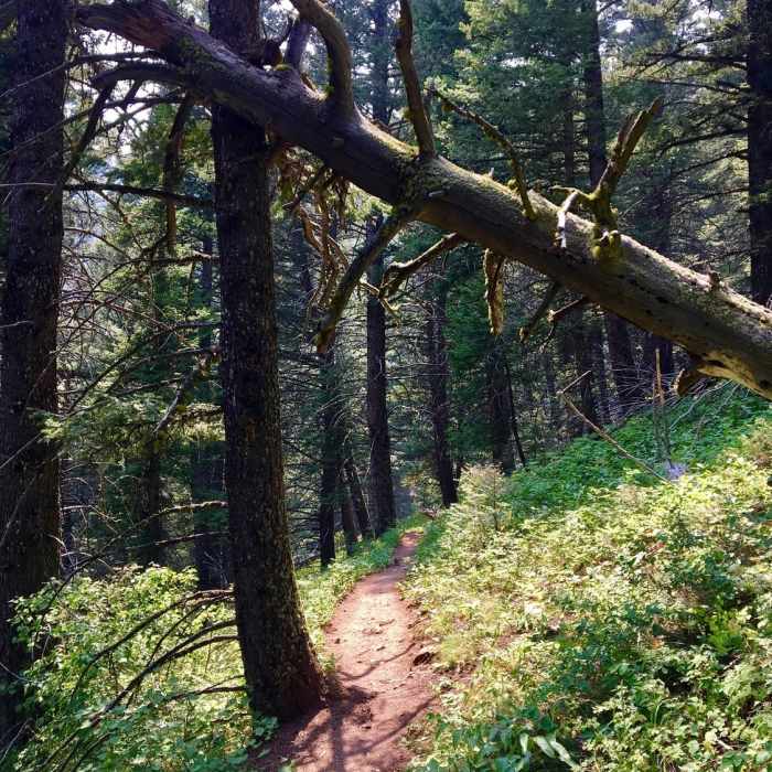 Near The Hyalite Crusher