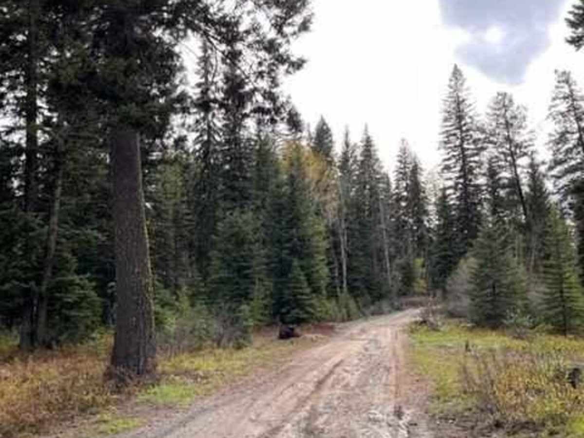 Full Creek Crossing photo 4