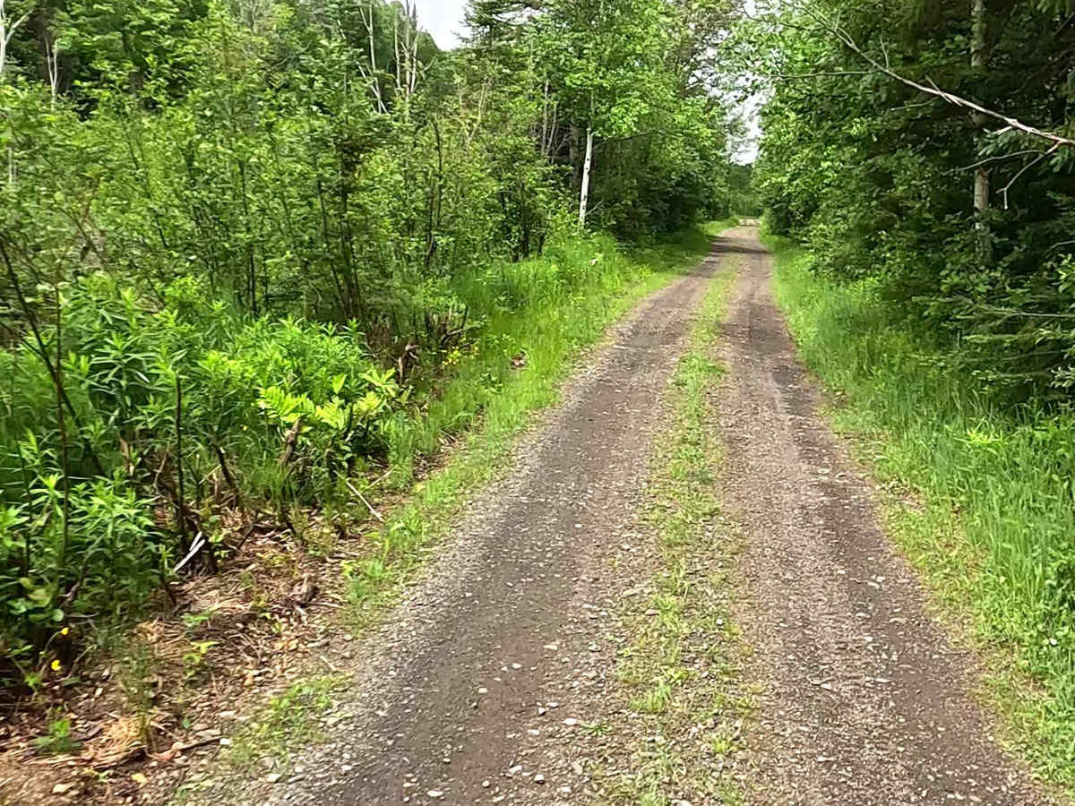 ORV Route C - Champion photo 4