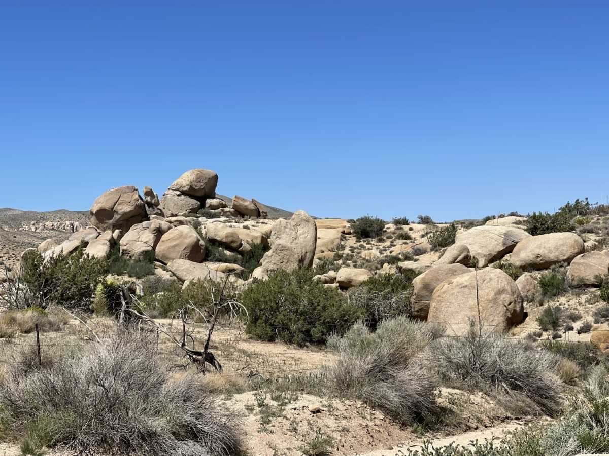 Bowen Ranch photo 2