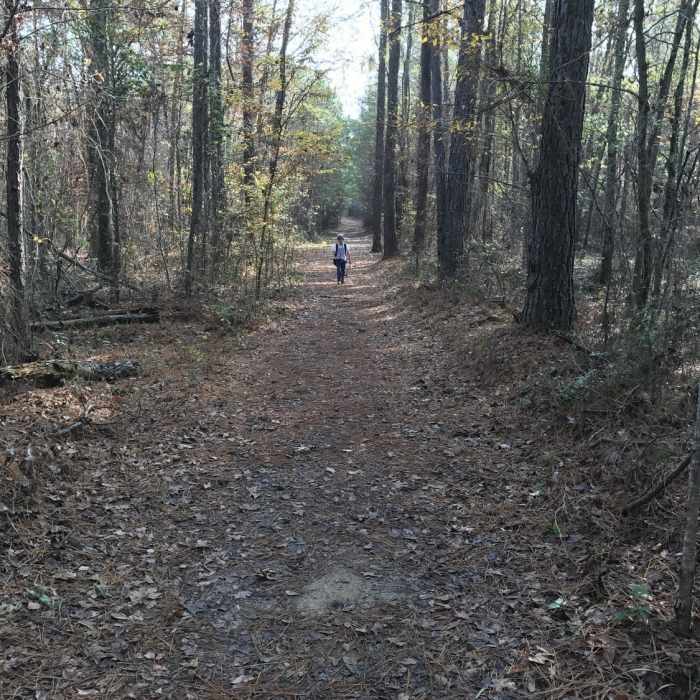 Hiking Near Swayback Bridge Trail
