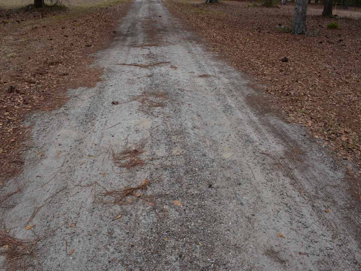 Battlefield Trail photo 5