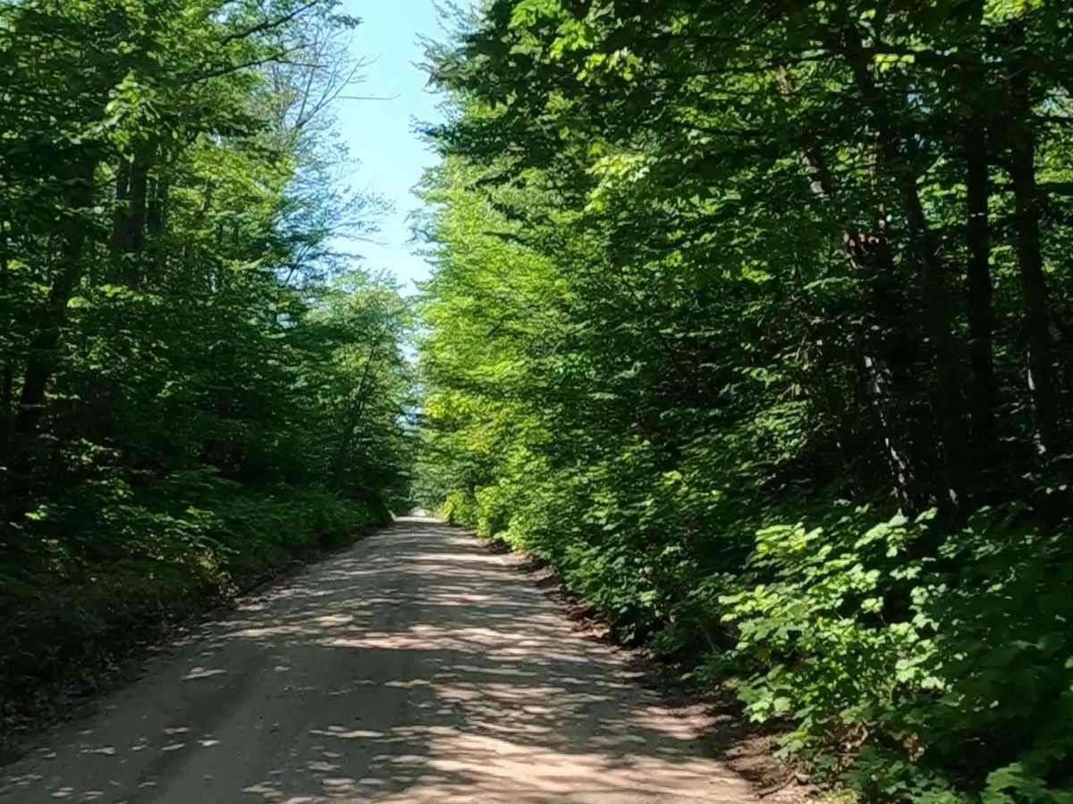 County Road EEM photo 2