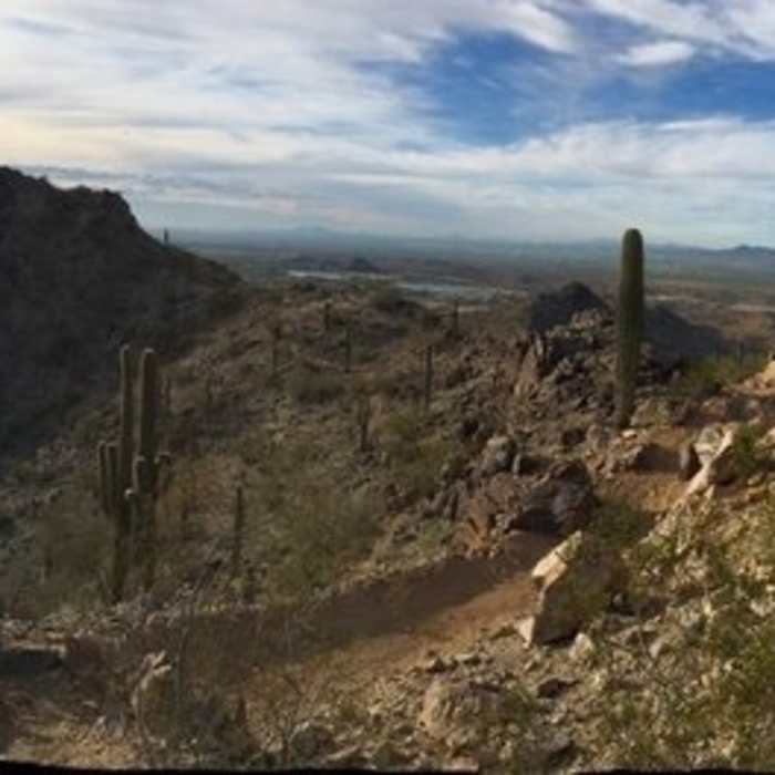 Near Estrella Foothills Loop