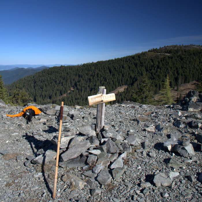 The summit of the higher Mt. Elijah, with Lake Mountain beyond. Near Mt. Elijah Trail #1206