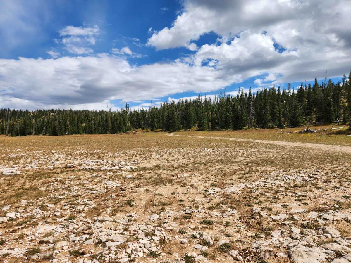 Island Lake Campground - FS 50136 photo 5