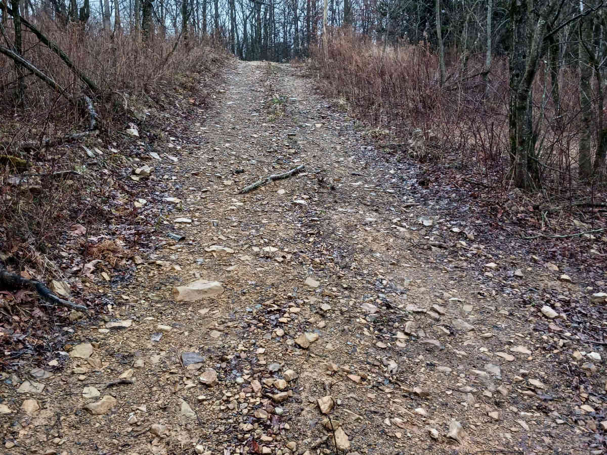 Rouges Midway - Rock Run Recreation Area photo 2
