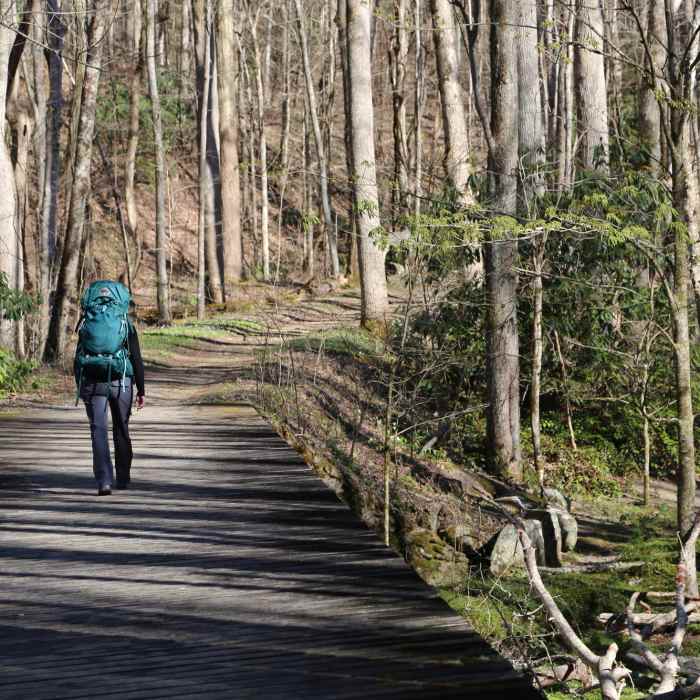 Bridge crossing Near Cucumber Gap Loop
