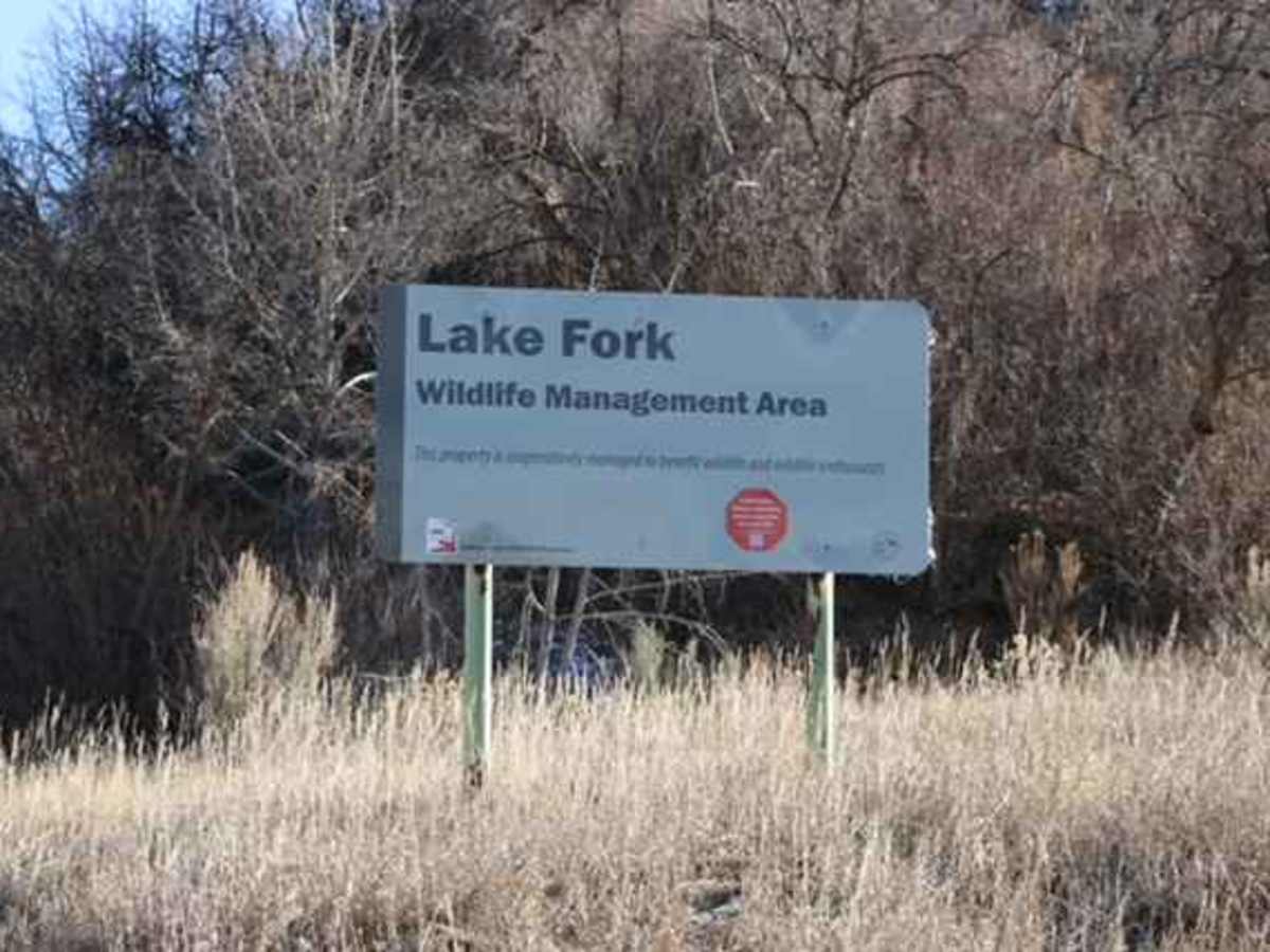 Lake Fork-Indianola - FS 50070 photo 4