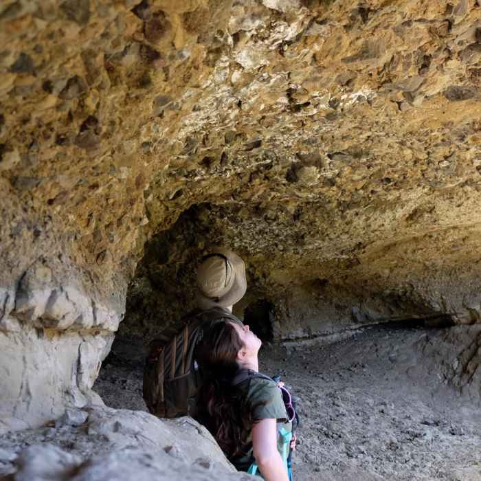 Near Gallatin Petrified Forest