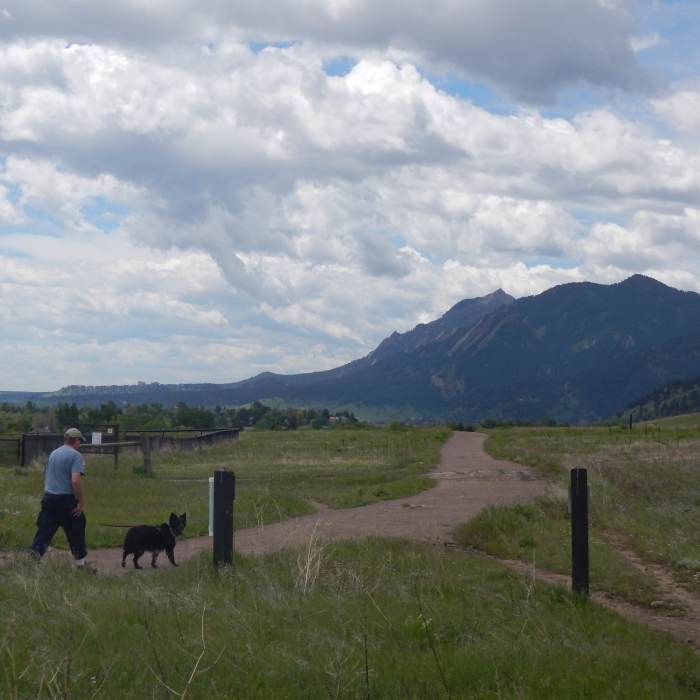 Near Old Kiln Trail