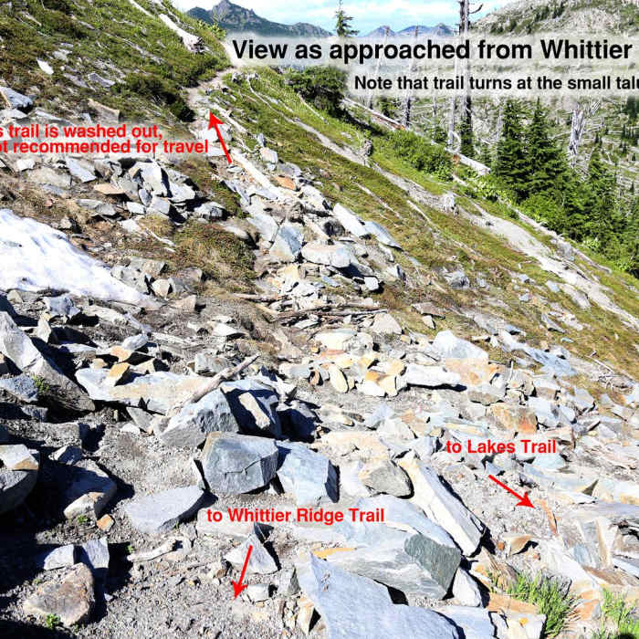 Near Whittier Ridge Trail from Norway Pass