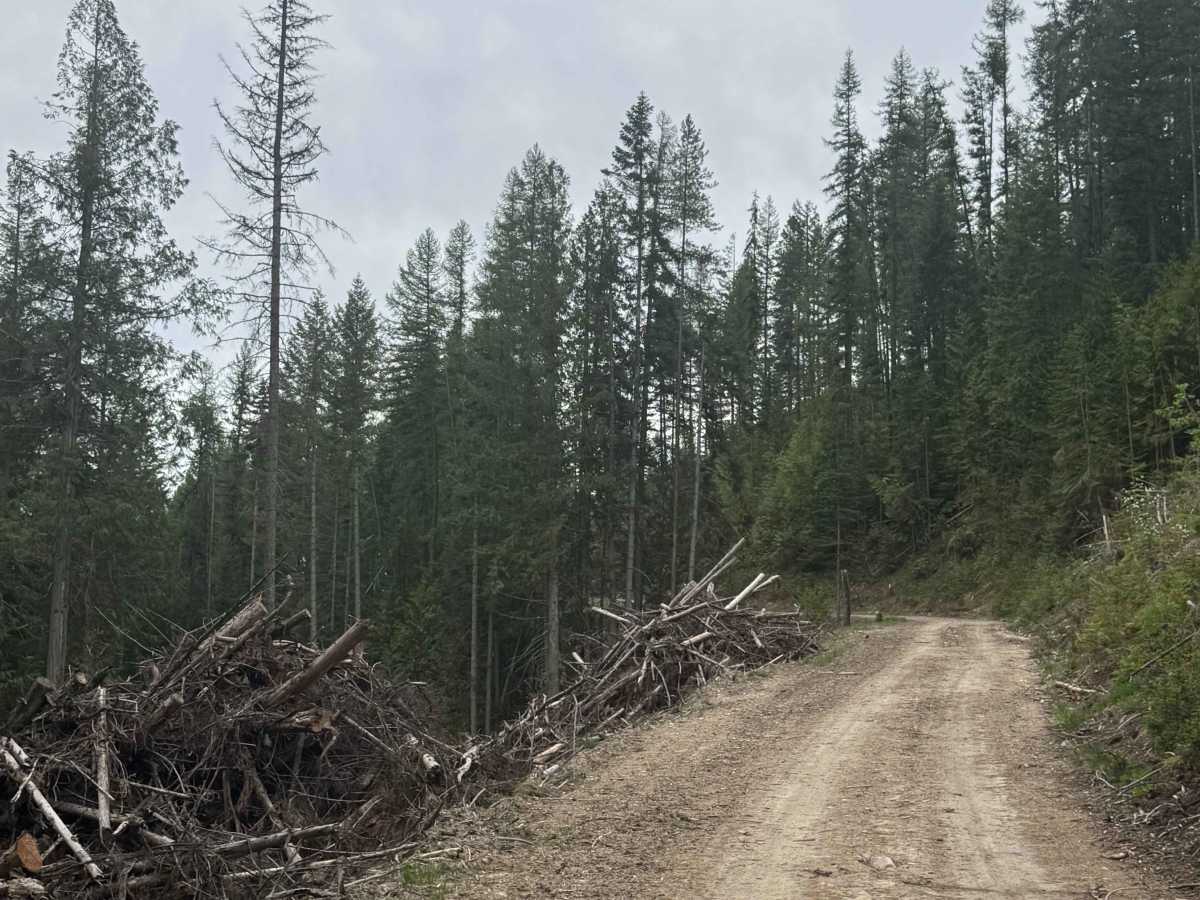 Fritz Creek - FS 2000-400 photo 3